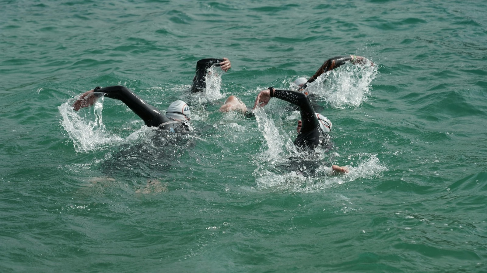 Image size 1600x900. Group of open-water swimmers in wetsuits moving through teal water.